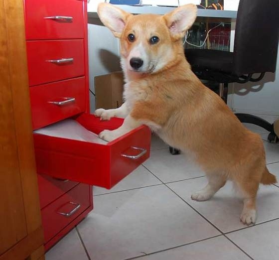 Making sure I have the rrrright files for the meeting!